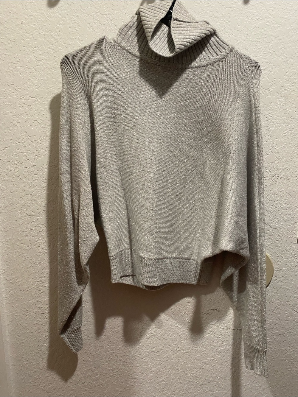 Express Silver-Gray Turtleneck Cropped Sweater